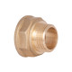 Перехідник Thermo Alliance Standart 1