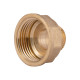 Перехідник Thermo Alliance Standart 1