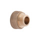 Перехідник Thermo Alliance Standart 1/2