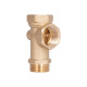П'ятерник Thermo Alliance Standart 1