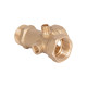 П'ятерник Thermo Alliance Standart 1