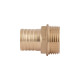 Штуцер Thermo Alliance Standart 25х1