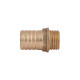 Штуцер Thermo Alliance Standart 20х1/2