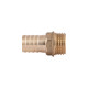 Штуцер Thermo Alliance Standart 16х1/2