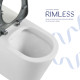 Унітаз підлоговий Qtap Freedom інклюзивний безбачковий Rimless безобідковий з сидінням Soft-close WHITE QT22223368W