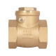 Зворотний клапан Thermo Alliance Standart 1 1/4